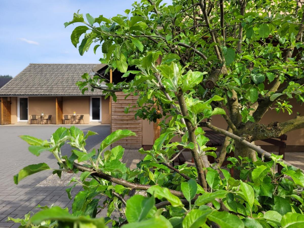 Apartmany Dolosin Velké Losiny Zewnętrze zdjęcie